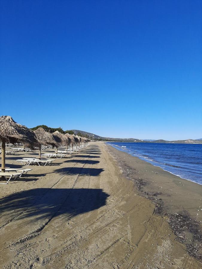 Cozy Flat In Nea Makri 아파트 외부 사진